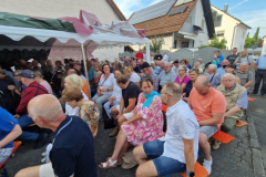 Sommerkino-beim-HGV-Kleinostheim-12