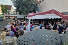 Sommerkino-beim-HGV-Kleinostheim-24
