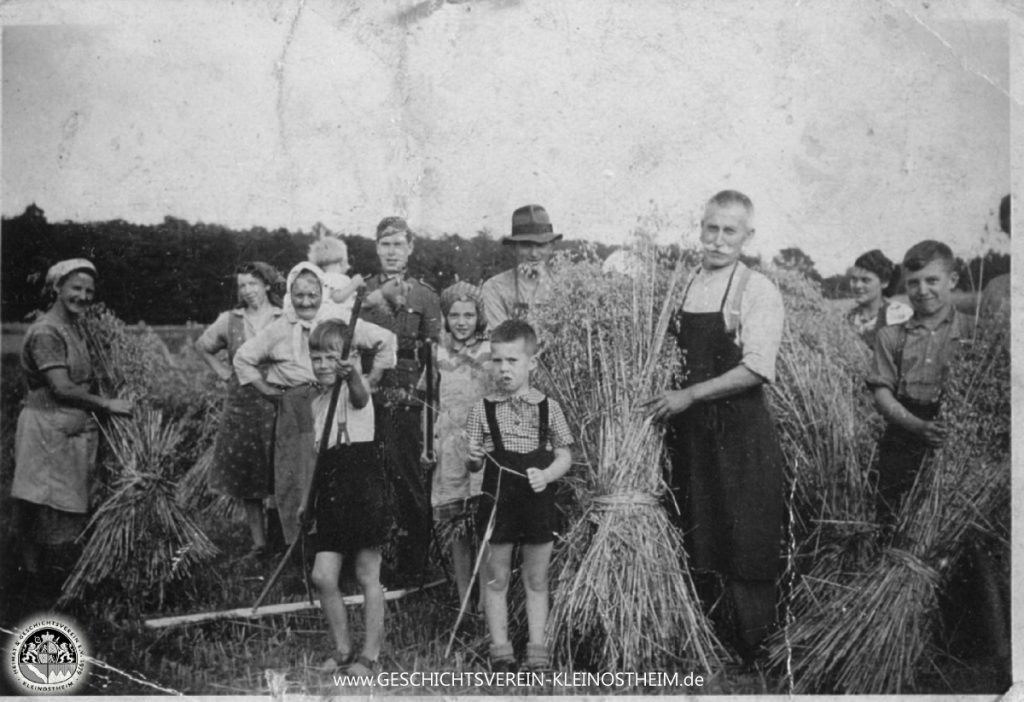 Das Foto aus dem Jahr 1940 zeigt Menschen bei der Erntearbeit. Die ganze Familie packt an und auch der Soldat auf Heimaturlaub muss mitarbeiten.