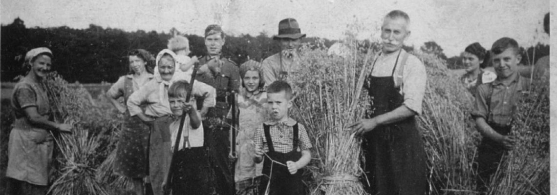 Das Foto aus dem Jahr 1940 zeigt Menschen bei der Erntearbeit. Die ganze Familie packt an und auch der Soldat auf Heimaturlaub muss mitarbeiten.