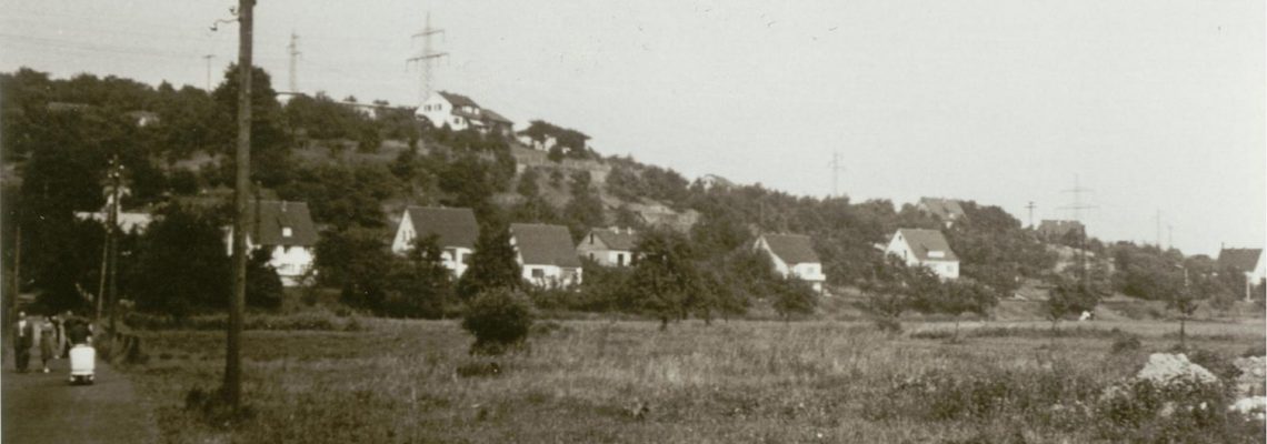 Das Foto aus dem Jahr 1962 zeigt einen Blick auf den Wingert, der noch weit weniger bebaut ist als heute. Standort des Fotografen ist der Schränksweg (heute Bassenser Straße)