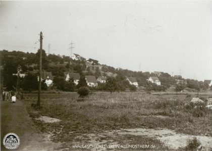 Das Foto aus dem Jahr 1962 zeigt einen Blick auf den Wingert, der noch weit weniger bebaut ist als heute. Standort des Fotografen ist der Schränksweg (heute Bassenser Straße)