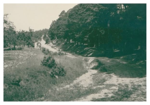 Damals ein Weg am Waldrand, heute dicht bebaut: Das Foto zeigt den Hirschpfad um 1950.