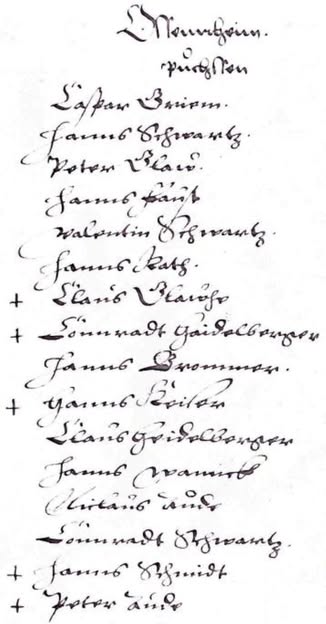 Das Bild zeigt die Auflistung der Gewehrbesitzer in Kleinostheim. Da die damaligen Namen vielleicht von Interesse sind, folgt hier die Transkription: Ossennheim [Ossenheim] - Puchssen [Büchsen] - Caspar Griem [Grimm] - Hanns Schwartz - Peter Glaw [Glaab] - Hanns Faust - Valentin Schwartz - Hanns Rath - Claus Glawhe [Glaab] - Connradt Haidelberger [Heidelberger] - Hanns Brommer - Hanns Keiser [Kaiser] - Claus Heidelberger - Hanns Wannck [Wanck] - Niclaus Aude [Audt] - Connradt Schwartz - Hanns Schmidt - Peter Aude [Audt]